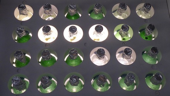 Algem photobioreactor